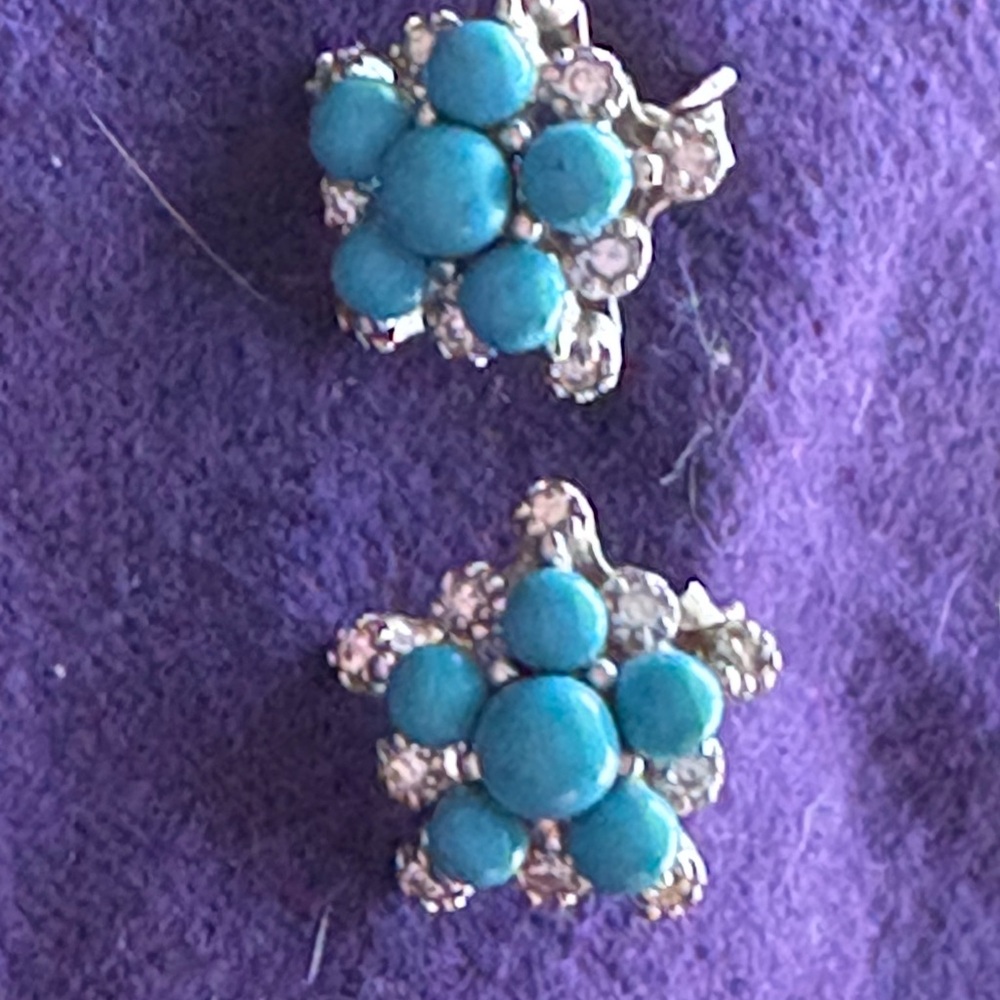 Sterling silver and turquoise earrings